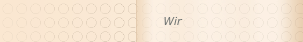 Wir